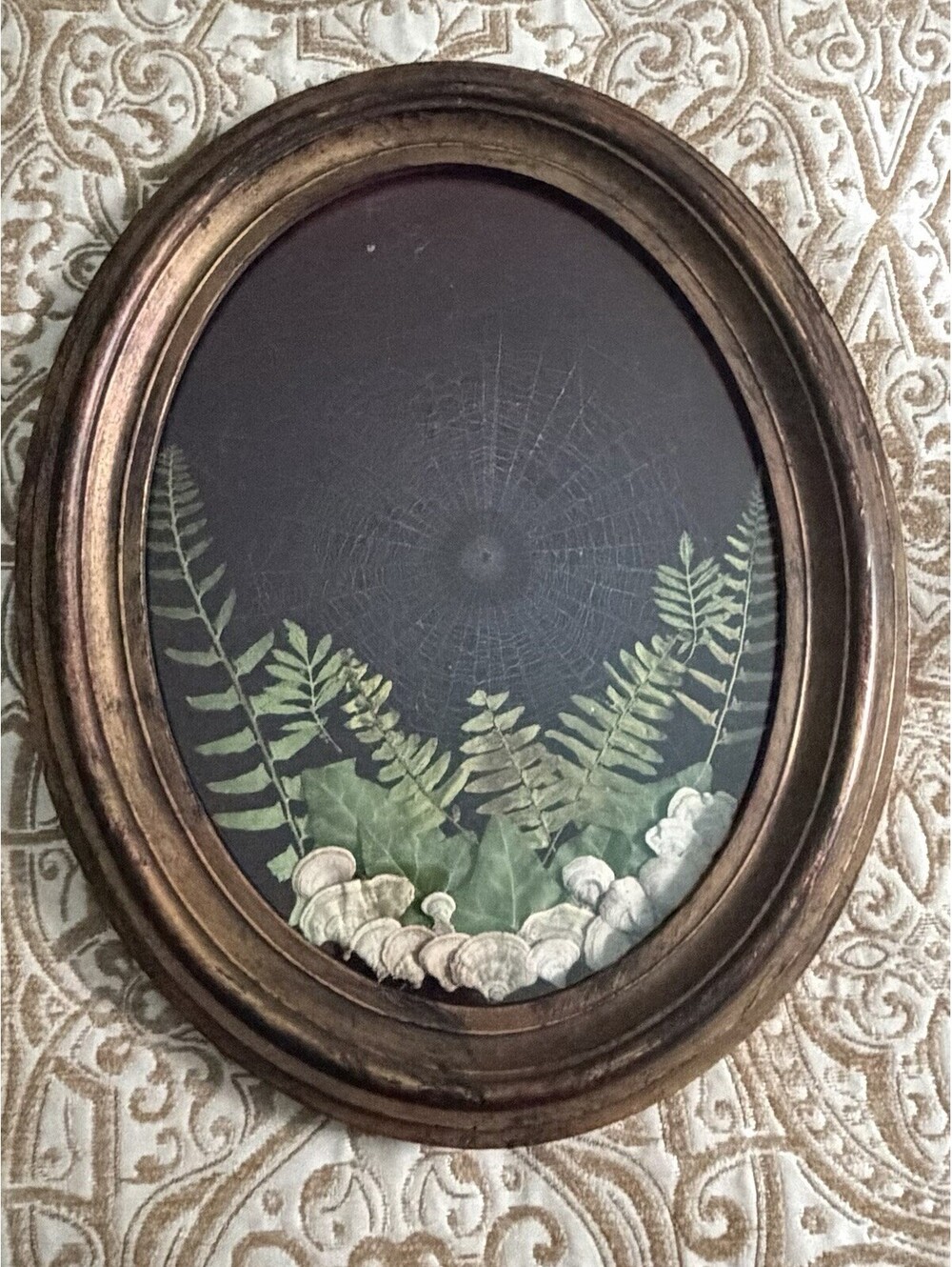Spider Web Preserved On Maroon Velvet Vintage Wood Frame Ferns Fungi Halloween